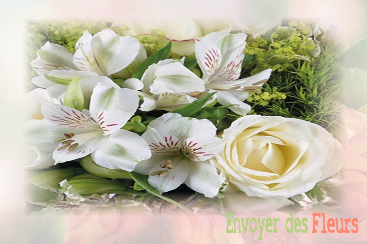 envoyer des fleurs à à VILLETTE-SUR-AIN
