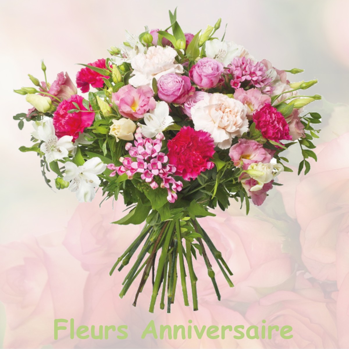 fleurs anniversaire VILLETTE-SUR-AIN
